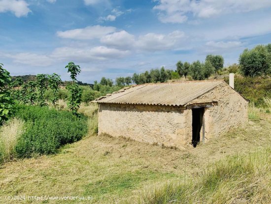 Finca en venta en Mazaleón (Teruel)