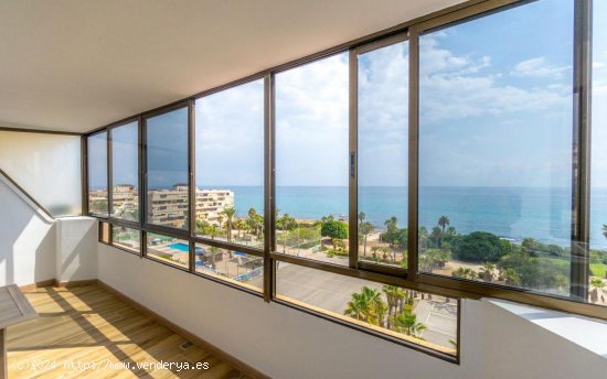  Apartamento en venta en Torrevieja (Alicante) 