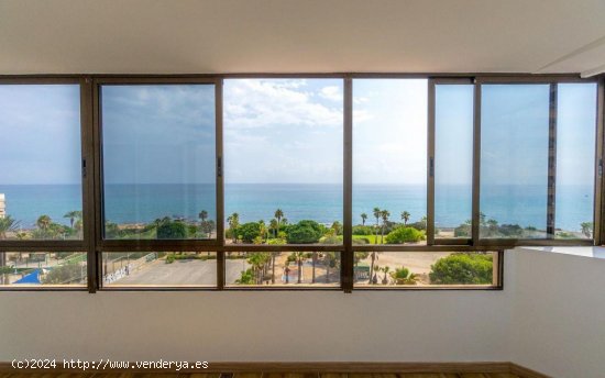 Apartamento en venta en Torrevieja (Alicante)