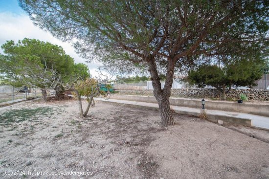 Finca en venta en Benissa (Alicante)