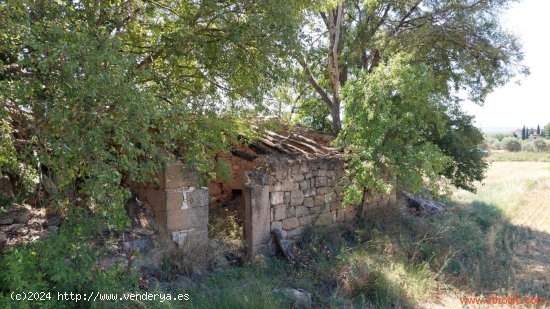 Finca en venta en Caspe (Zaragoza)