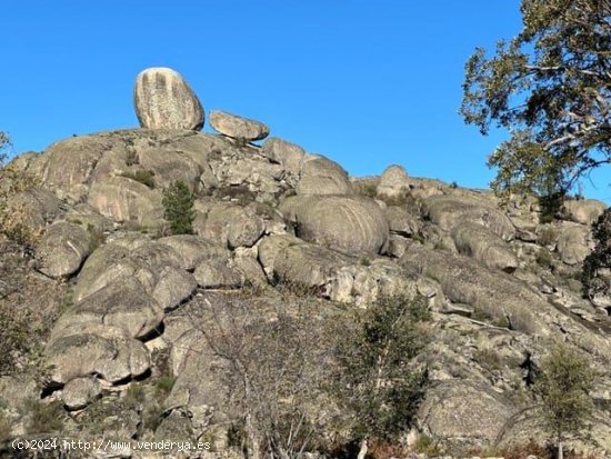 Finca en venta en Valencia de Alcántara (Cáceres)