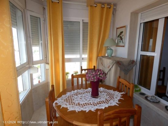 Apartamento en alquiler en Torrox (Málaga)