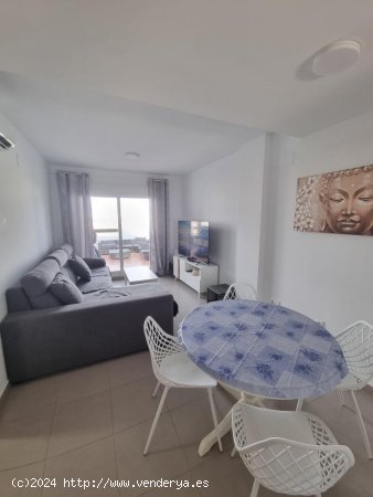 Apartamento en alquiler en Torre-Pacheco (Murcia)