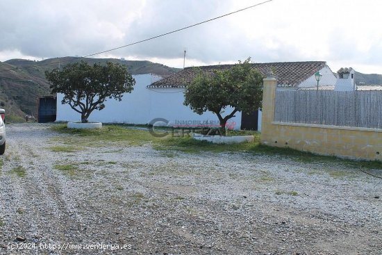 Finca en alquiler en Almáchar (Málaga)