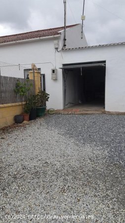 Finca en alquiler en Almáchar (Málaga)