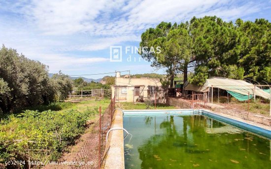  Finca en venta en Tortosa (Tarragona) 