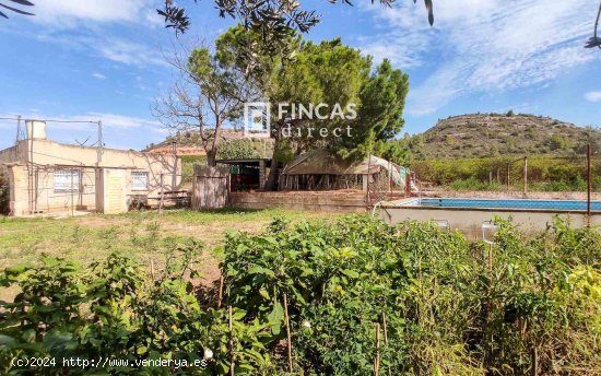 Finca en venta en Tortosa (Tarragona)