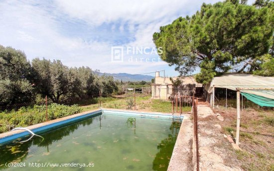 Finca en venta en Tortosa (Tarragona)