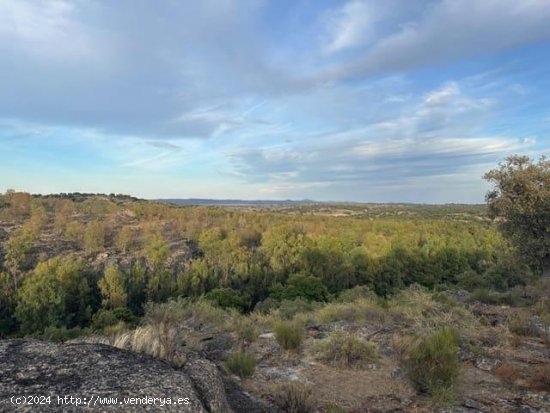  Finca en venta en Valencia de Alcántara (Cáceres) 