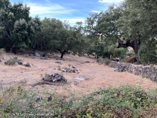 Finca en venta en Valencia de Alcántara (Cáceres)