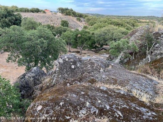 Finca en venta en Valencia de Alcántara (Cáceres)