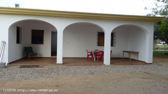 Finca en venta en Arcos de la Frontera (Cádiz)