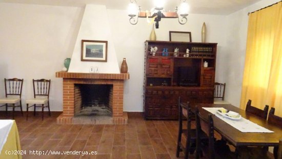 Finca en venta en Arcos de la Frontera (Cádiz)