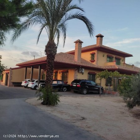  Villa en alquiler en Murcia (Murcia) 