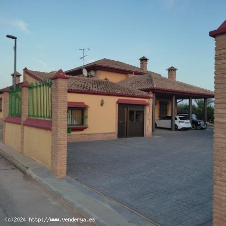 Villa en alquiler en Murcia (Murcia)