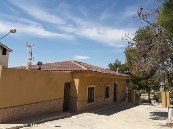  Villa en venta en Crevillent (Alicante) 