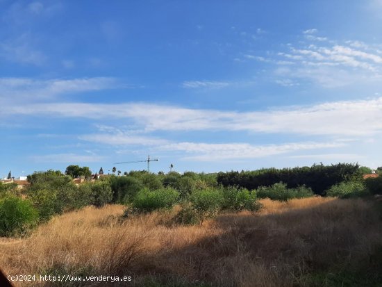 Parcela en venta en Torrevieja (Alicante)