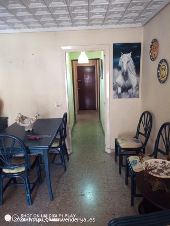  Piso en venta en Torrevieja (Alicante) 