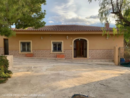  Villa en venta en Crevillent (Alicante) 