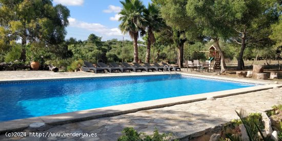 Finca en alquiler en Manacor (Baleares)