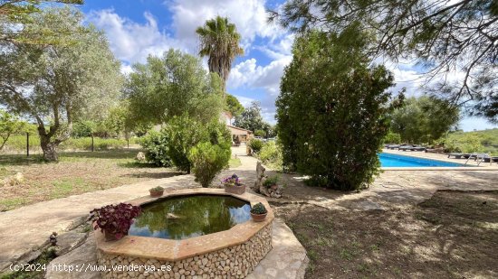 Finca en alquiler en Manacor (Baleares)