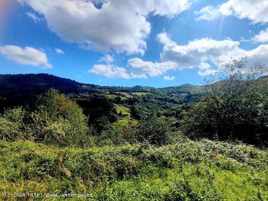 Parcela en venta en Riosa (Asturias)