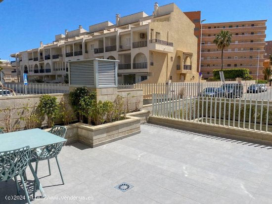 Apartamento en alquiler en Torrevieja (Alicante)