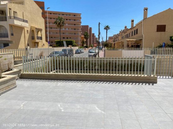 Apartamento en alquiler en Torrevieja (Alicante)