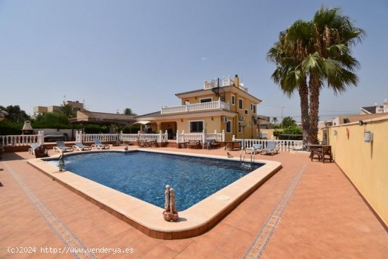  Villa en venta en Torrevieja (Alicante) 