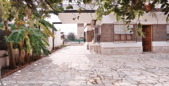 Apartamento en venta en Los Alcázares (Murcia)