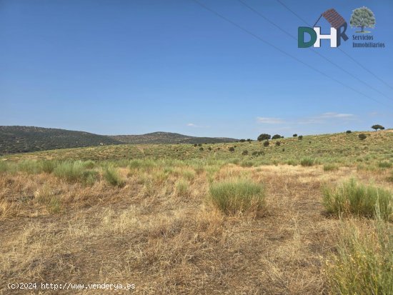 Solar en venta en Cáceres (Cáceres)