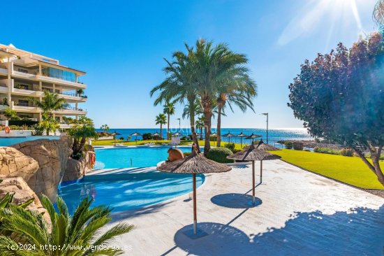 Apartamento en alquiler en Altea (Alicante)