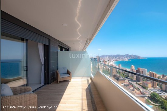 Apartamento en alquiler en Benidorm (Alicante)