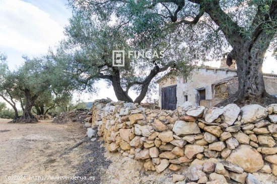  Finca en venta en Tortosa (Tarragona) 