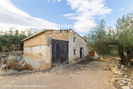 Finca en venta en Tortosa (Tarragona)