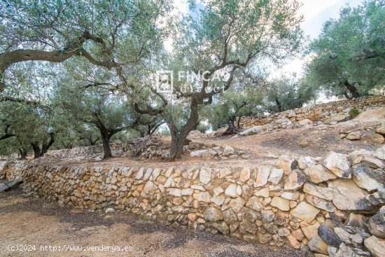 Finca en venta en Tortosa (Tarragona)