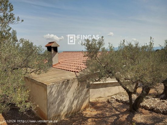  Finca en venta en Tortosa (Tarragona) 