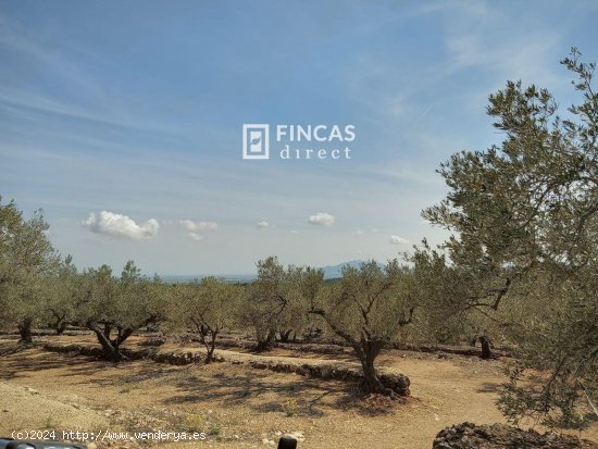 Finca en venta en Tortosa (Tarragona)