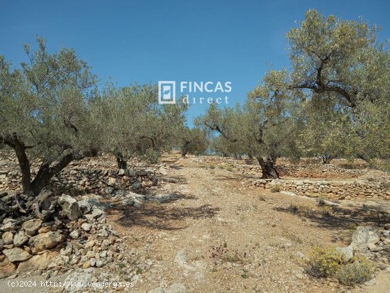 Finca en venta en Tortosa (Tarragona)