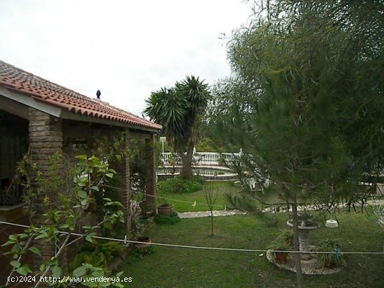 Villa en alquiler en Alhaurín de la Torre (Málaga)