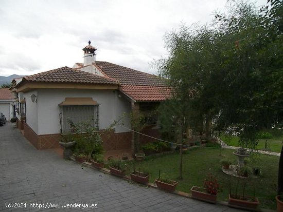 Villa en alquiler en Alhaurín de la Torre (Málaga)