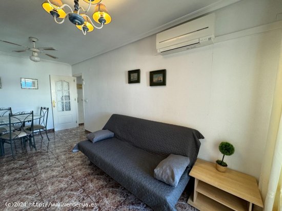 Apartamento en alquiler en Guardamar del Segura (Alicante)