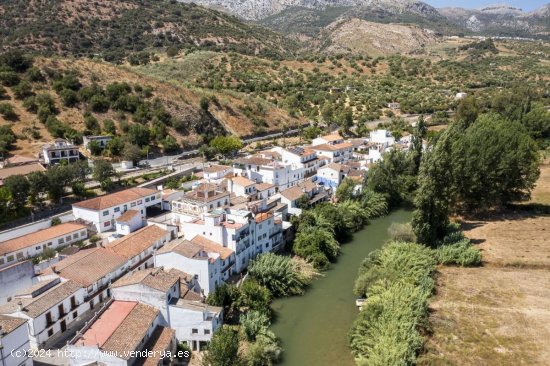 Hotel en venta en Cortes de la Frontera (Málaga)