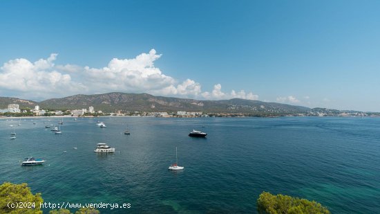 Piso en venta en Calvià (Baleares)