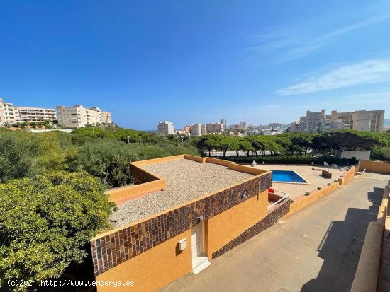 Dúplex en venta en La Manga del Mar Menor (Murcia)