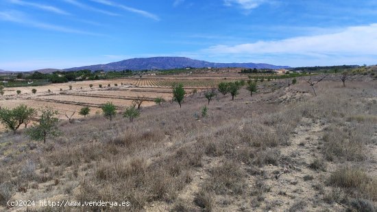  Solar en venta en Pinoso (Alicante) 