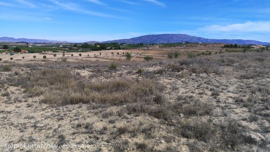 Solar en venta en Pinoso (Alicante)