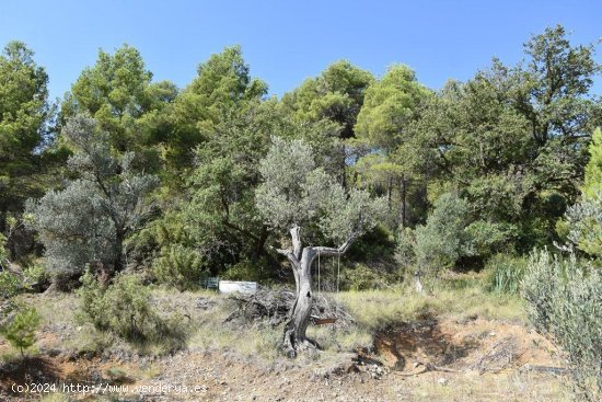 Finca en venta en Horta de Sant Joan (Tarragona)