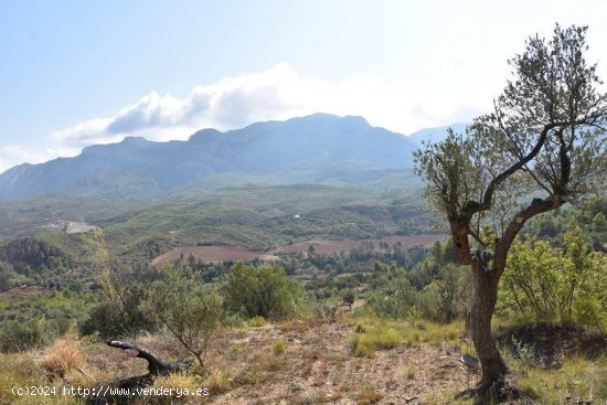 Finca en venta en Horta de Sant Joan (Tarragona)